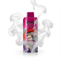 Bang Legend Geek 300K 8 in 1 Einweg-E-Zigarette 850mAh, 300.000 Züge